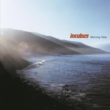 Incubus, Vinyl MORNING VIEW
