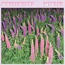Motherhood – WINDED (CD)