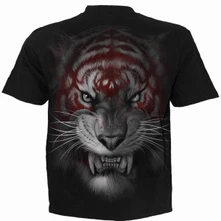 Mark Of The Tiger thumbnail