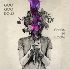 CD CHAOS IN BLOOM