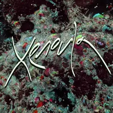 Xenoula, CD XENOULA