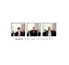 DMS, Vinyl Čo Sa Stalo?!