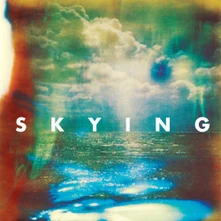 The Horrors, CD SKYING