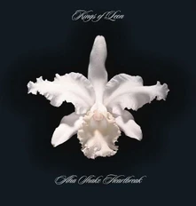 Kings of Leon, Vinyl Aha Shake Heartbreak