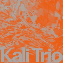 KALI TRIO – THE PLAYFUL ABSTRACT (Vinyl)