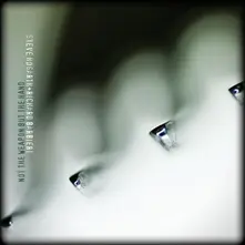 Steve Hogarth & Richard Barbieri, Vinyl NOT THE WEAPON BUT THE HAND