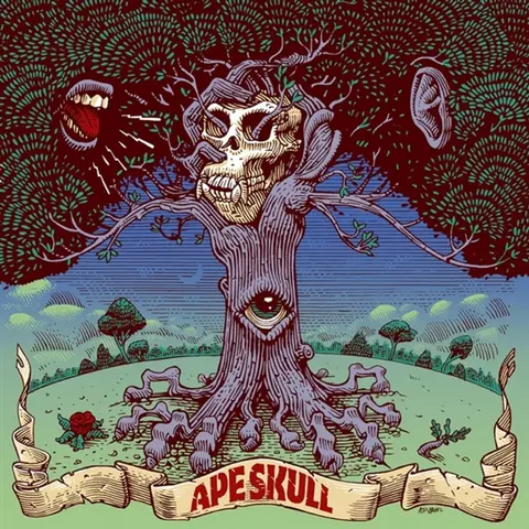 Vinyl APE SKULL