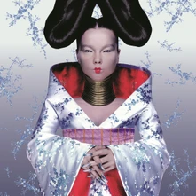 Björk, Vinyl Homogenic