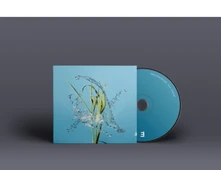 Fergus McCreadie, CD STREAM