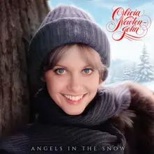 Vinyl Angels In The Snow
