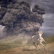 Vinyl THE WHITE BUFFALO - YEAR OF THE DARK HORSE