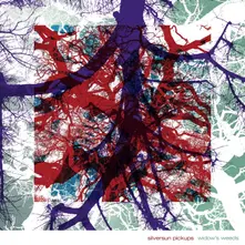 Silversun Pickups, CD WIDOW'S WEEDS