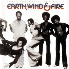 Vinyl THAT'S THE WAY OF THE ...