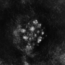 SaffronKeira, CD SYNEDOCHE