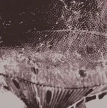 Vinyl FLOUNDER MAPS