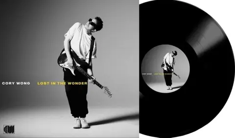 Lost In The Wonder Ltd.