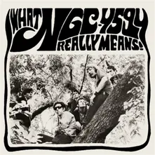Vinyl WHAT NGC-4594 REALLY MEANS!