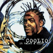 Coolio, Vinyl It Takes A Thief