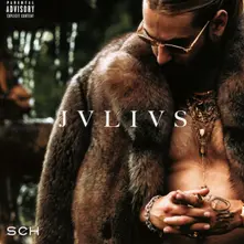 Vinyl Sch - Jvlivs