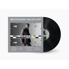 Ian Anderson, Vinyl WALK INTO LIGHT