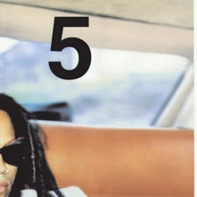 Lenny Kravitz, Vinyl 5 (album)