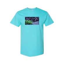 Neon FIsh (Neónky Foto) thumbnail
