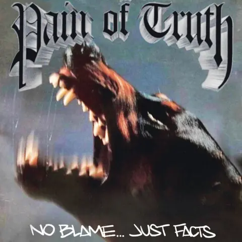 Pain Of Truth – Vinyl NO BLAME JUST FACTS