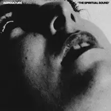 CD The Spiritual Sound
