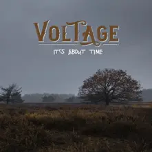 Voltage – IT'S ABOUT TIME (Vinyl)