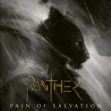 Pain of Salvation, CD Panther
