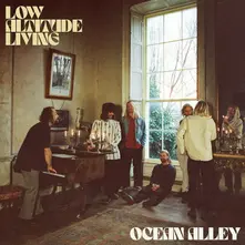 Vinyl LOW ALTITUDE LIVING