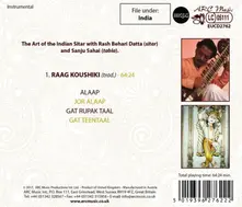 ART OF THE INDIAN SITAR thumbnail