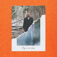 CD Man Of The Woods