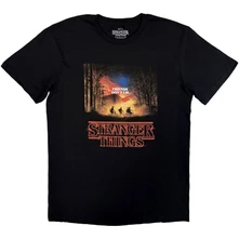 Stranger Things - Friends Don’t Lie thumbnail