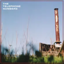The Telephone Numbers, Vinyl SCARECROW II