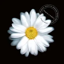 Vlasta Redl – Dopisy Z Květin (20th Anniversary Edition) (CD)