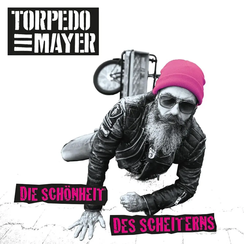 DIE SCHONHEIT DES SCHEITERNS (CD)