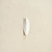 COMPLEXITY OF THE SIMPLE thumbnail
