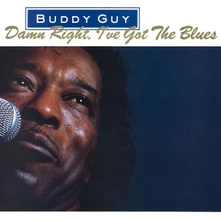 Buddy Guy, Vinyl DAMN RIGHT, I'VE GOT THE BLUES