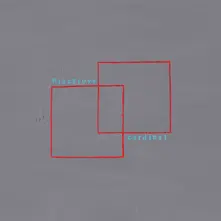 Pinegrove – CARDINAL (Vinyl)