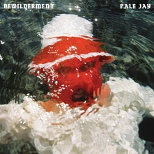 CD Pale Jay - Bewilderment