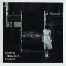 Vinyl TOPLEY MARTINA - Quixotic