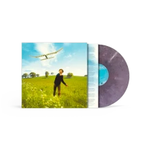 Vinyl Who We Used To Be