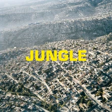 Vinyl JUNGLE