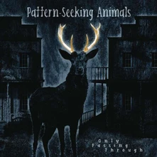 Pattern-Seeking Animals, CD Seeking Animals - Only Passing Through