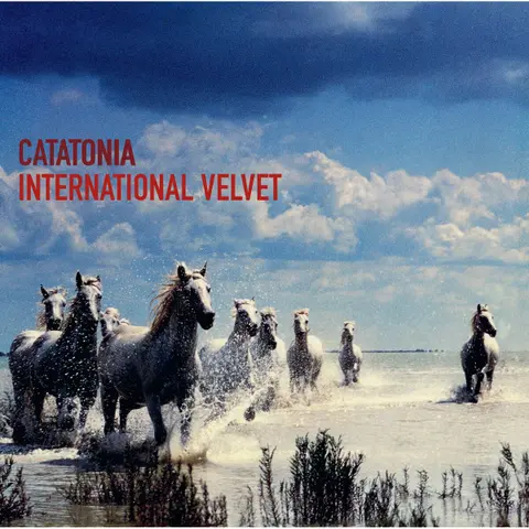 INTERNATIONAL VELVET