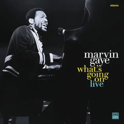 Marvin Gaye – CD What's Going On Live