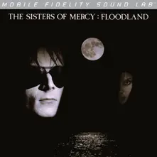 Vinyl FLOODLAND