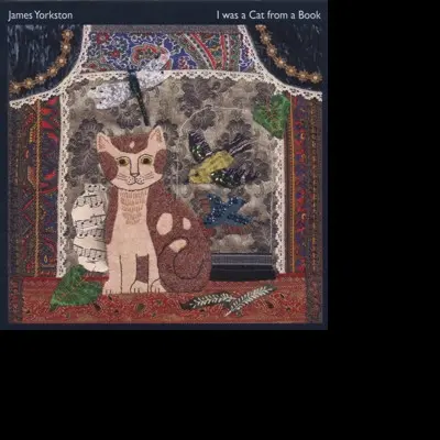James Yorkston – Vinyl I WAS A CAT IN A BOOK -10"-