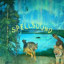 BOYSCOTT, CD SPELLBOUND
